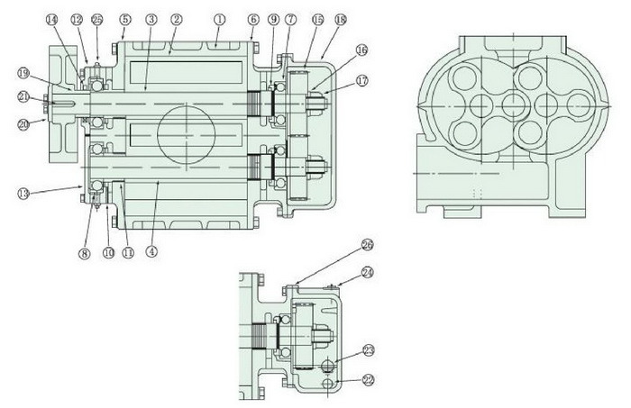 Dsr100V Positive Displacement Rotary Lobe Pump Vacuum Pump Roots