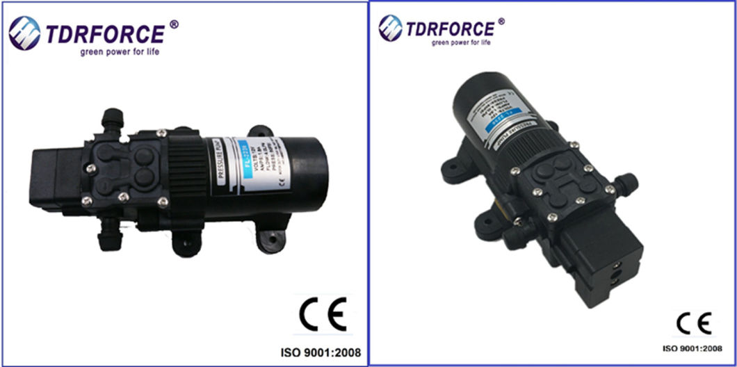 Mini DC High Pressure Diaphragm Pump