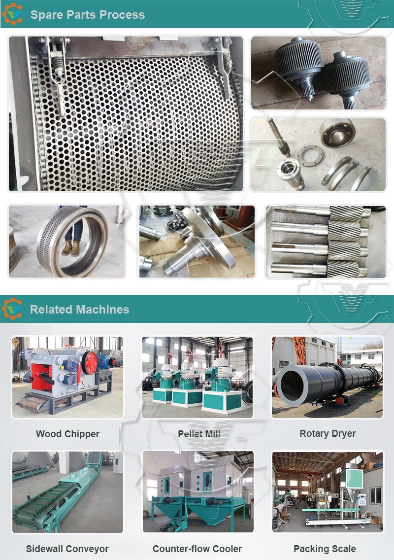 Crushing Machines Sugarcane Tree Branch Wood Pallet Shredder for Sale