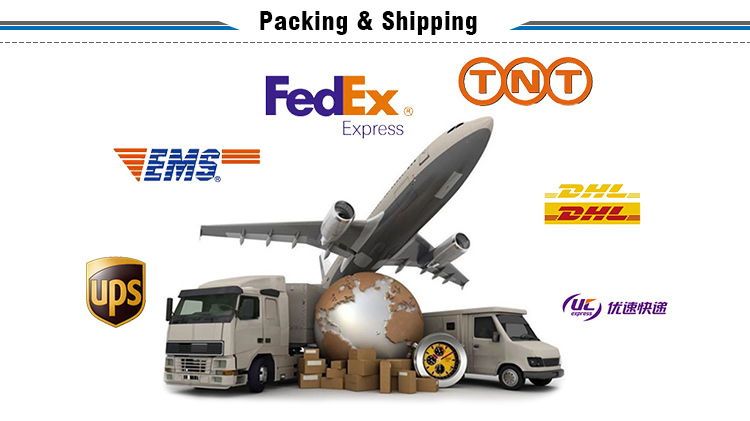 Ss Sanitary 90 Degree Welded Elbow Pipe Fitting with Straight End with Good Quality