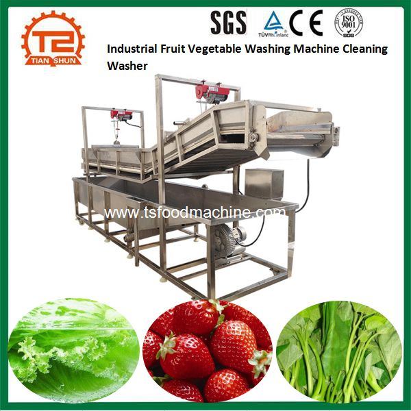 Wash Line Fruit Vegetable Washer Salad Washing Machine with Bubble Ozone