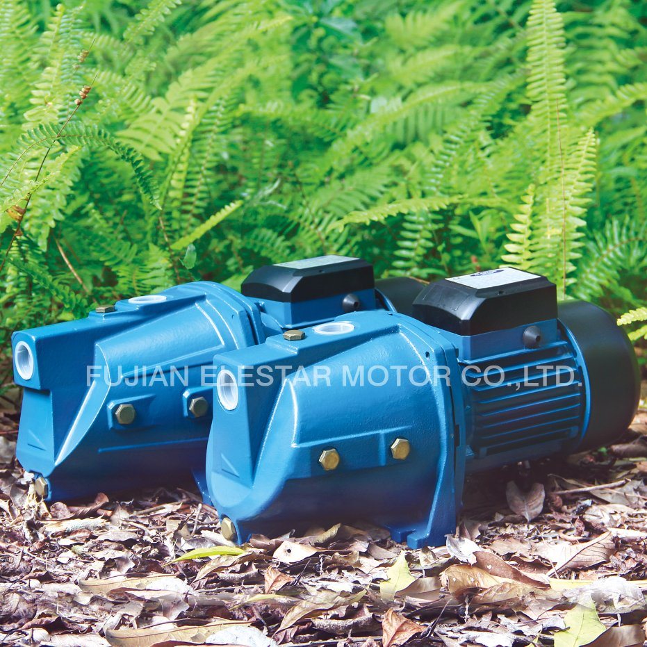 0.75kw Electric Self-Priming Jet Water Pumps (JSW)