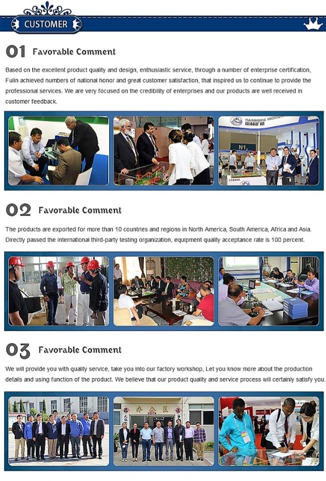 High Concentration Mineral Mixing Leaching Tank Agitator for Gold