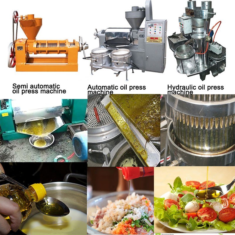 Sesame/Soybean Oil Press Machine with Air Pressure Filter Supply