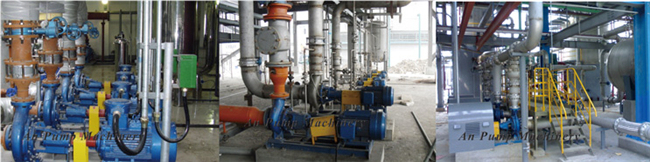 Horizontal Cantilever Stainless Steel Chemical Process Centrifugal Water Pump