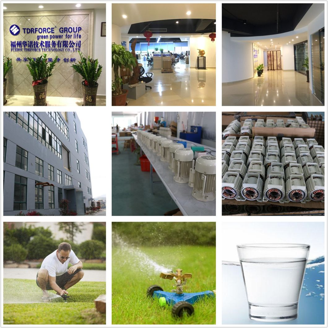 Mini DC High Pressure Diaphragm Pump