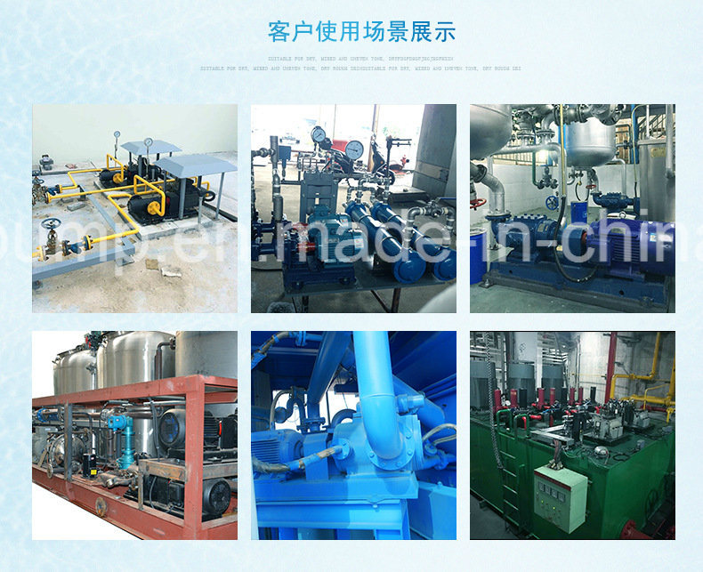Rotor Sewage& Sludge Deposing High Quality Cavity Single Screw Pump