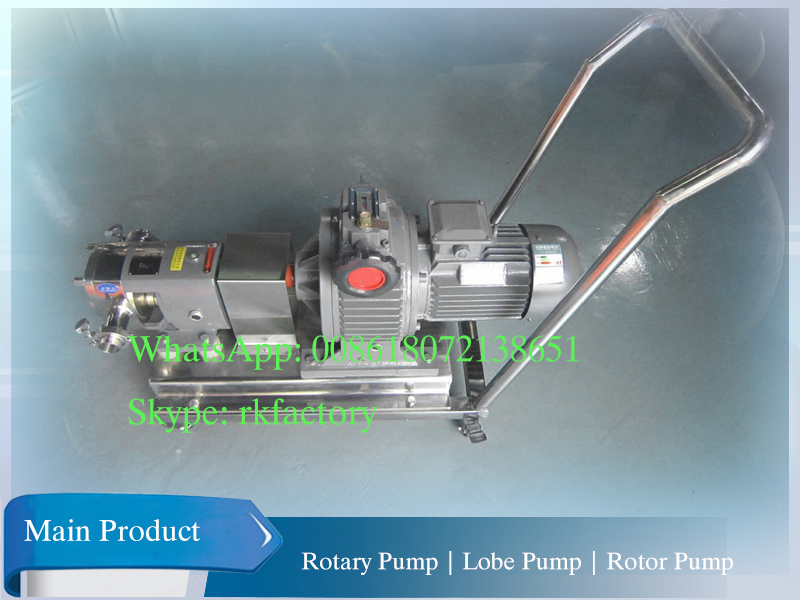 Viscosity Liquid Rotary Pump Movable Rotor Pump for Chocolate