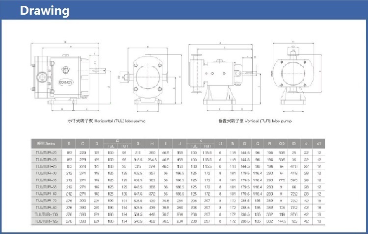 Stainles Steel Sanitary Vertical Rotary Lobe Pump (TUR Series)