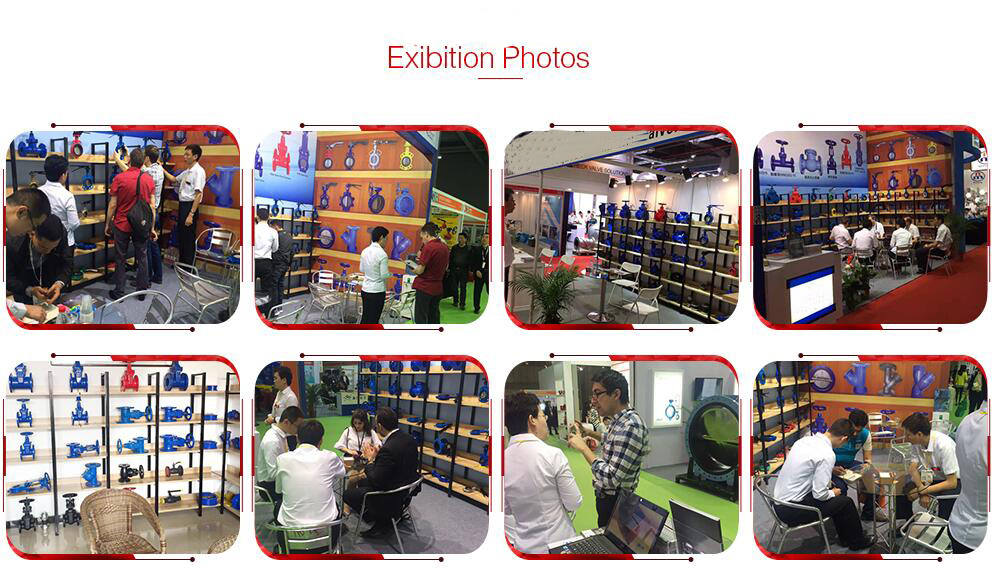 Strict Quality Control High Pressure Flange Drilling ANSI Bellows Globe Valve