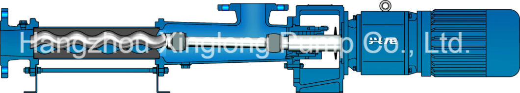 G Mono/Single Screw Pump/ Progressive Cavity Pump for Slurry and Oil