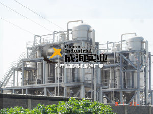 Multi-Stage Energy-Saving Falling-Film Evaporator for Condense Juice and Milk