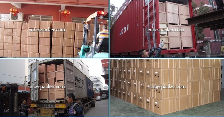 Food Fish Nitrogen Flushing Vacuum Packing Sealer Sealing Machine