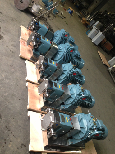 Chocolate Pump Cam Rotor Pump Lobe Pump Mono Pump