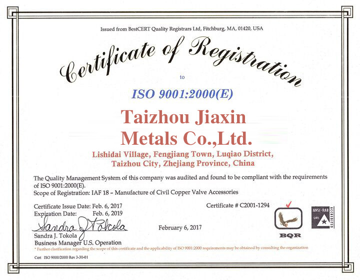 ABS Flexible Pipe with Chrome Plated Surface