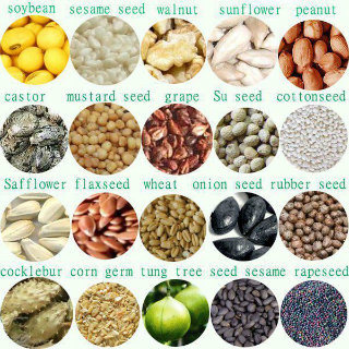 Sesame/Soybean Oil Press Machine with Air Pressure Filter Supply