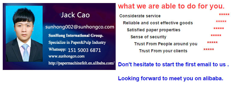 Waste Paper Stainless Steel Chain Conveyor System for Paper Mill