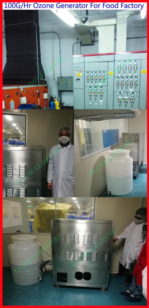 GO-YT 100 For Food Factory