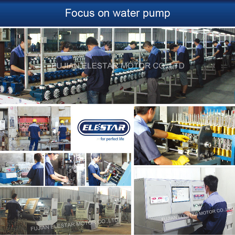 0.75kw Electric Self-Priming Jet Water Pumps (JSW)