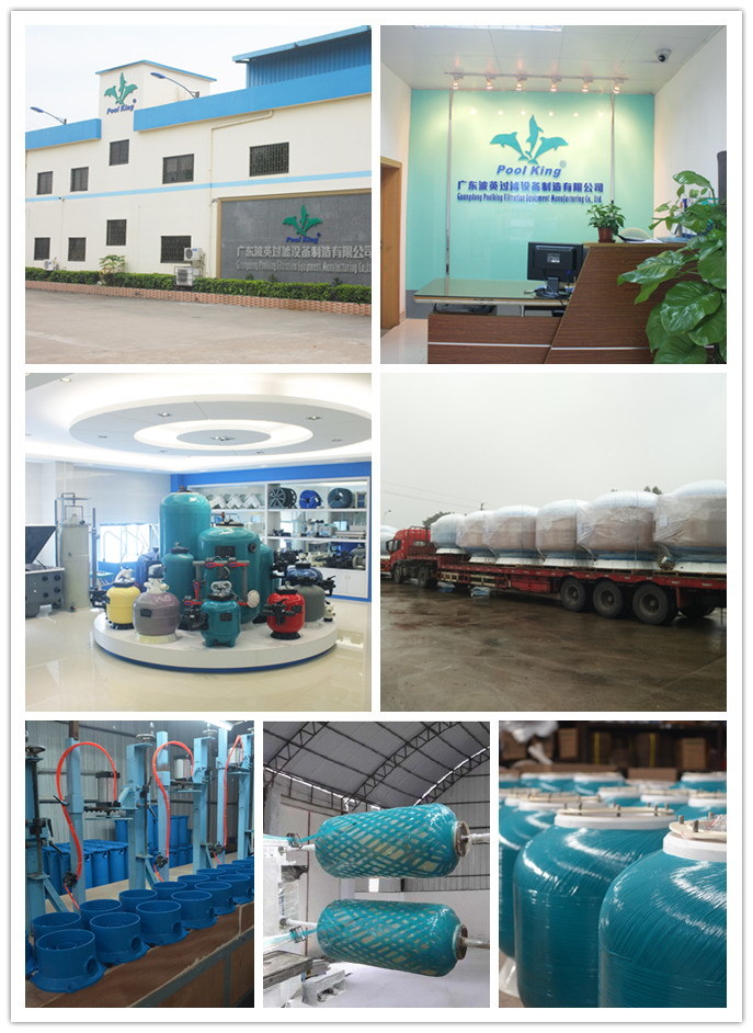 Self-Priming Residential Swimming Pool Pump for Water Pump