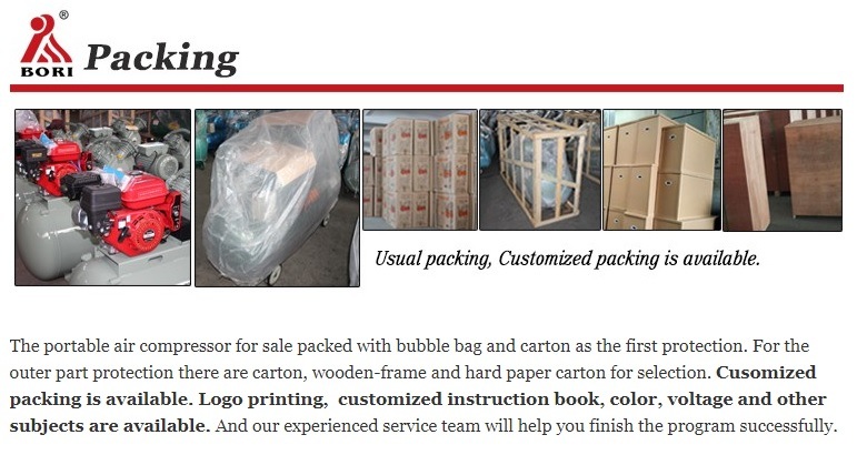 Bori Portable Oil Free and Silent Air Compressor Br550-2A