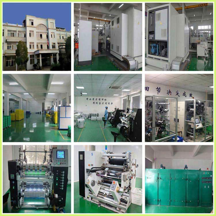 Lithium Battery PE Separator Ion Exchange Membrane for Lithium Battery