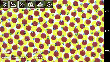 Ecoographix Densitometer to Test The Density of Plate DOT