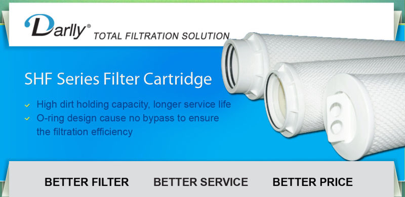 Dlshf High Flow Filter Cartridge Factory