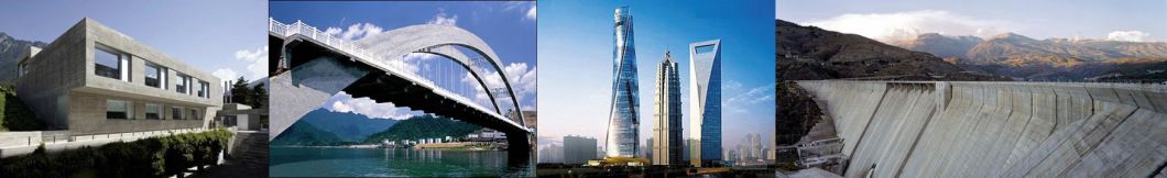 Top Quality Calcium Lignosulfonic Acid 8061-52-7 Calcium Lignosulfonate