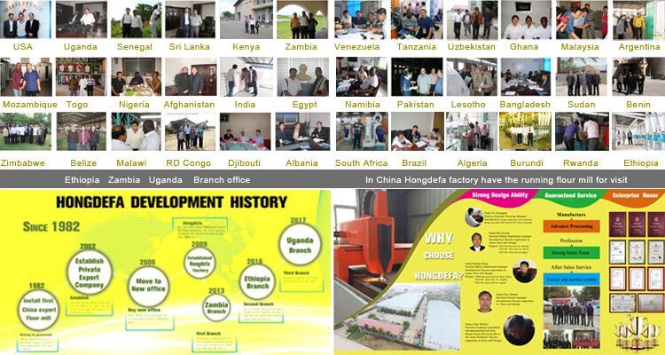 Flour Processing Maize Corn Wheat Flour Equipment Milling Machine