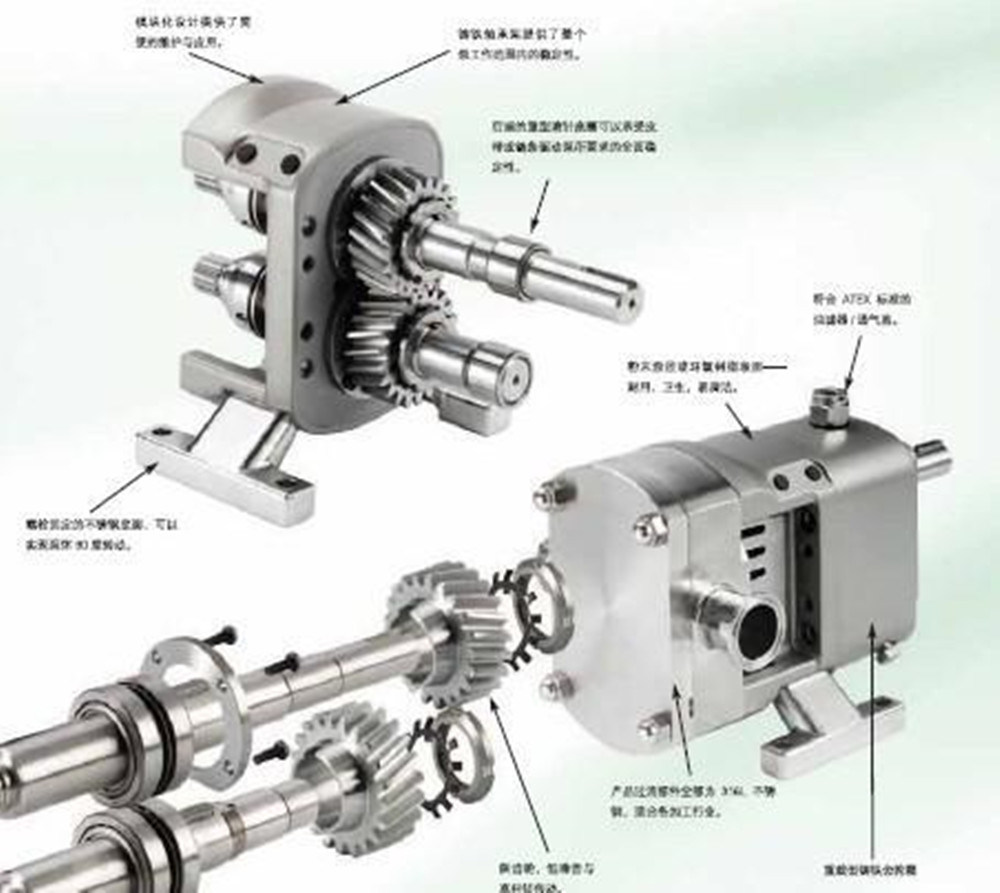 Sanitary Lobe Pump for Honey Cam Rotor Pump