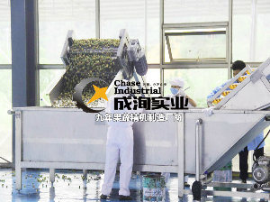 Multi-Stage Energy-Saving Falling-Film Evaporator for Condense Juice and Milk