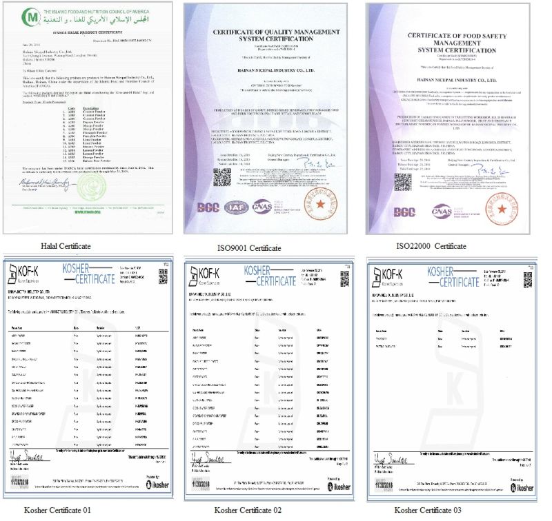 Istant Bitter Gourd Vegetable Powder for Sports Drink