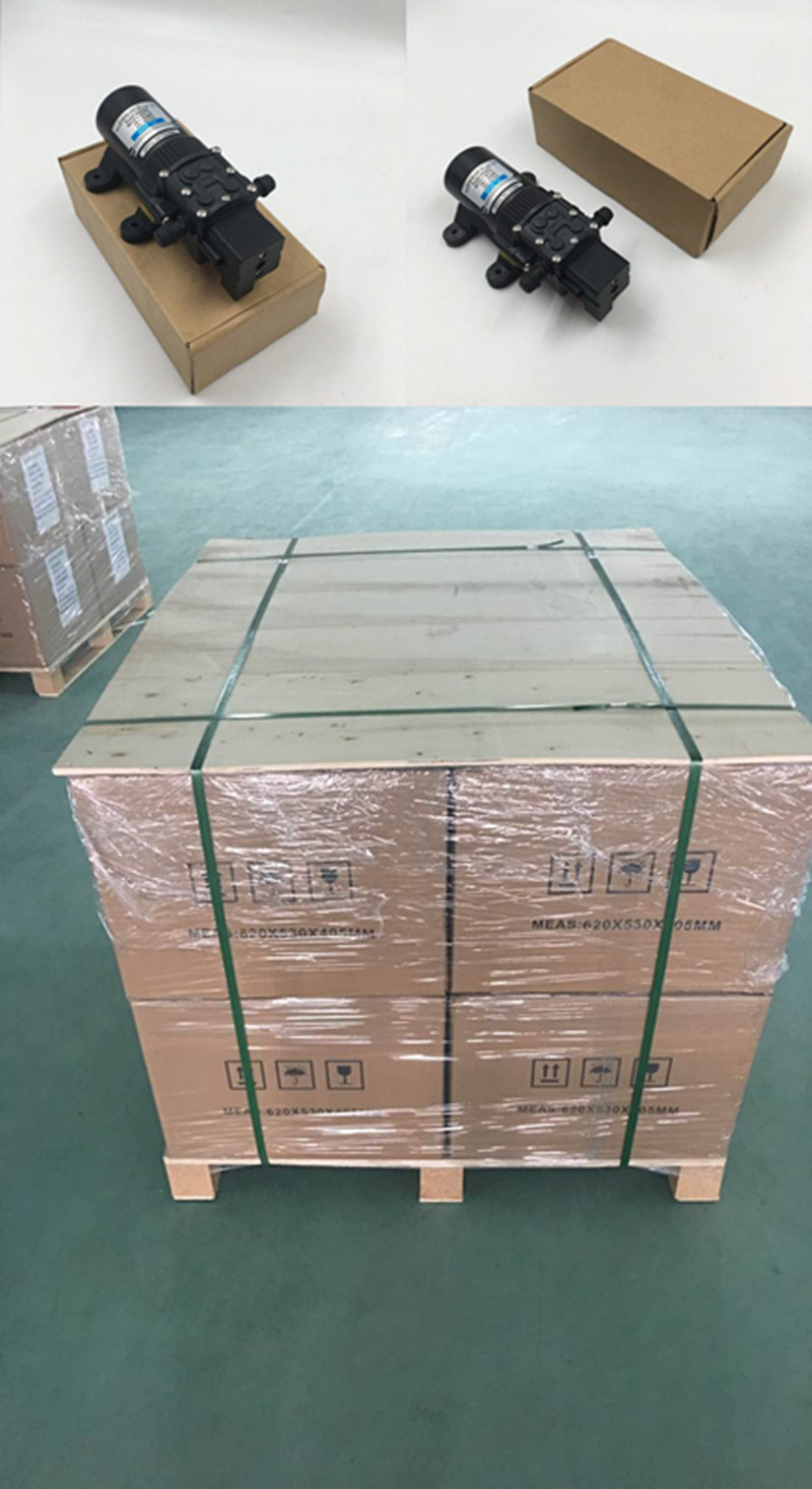 Mini DC High Pressure Diaphragm Pump