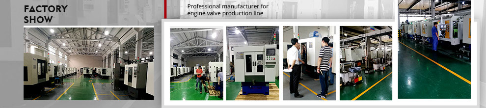 Double Station Grinder for Truck Engine