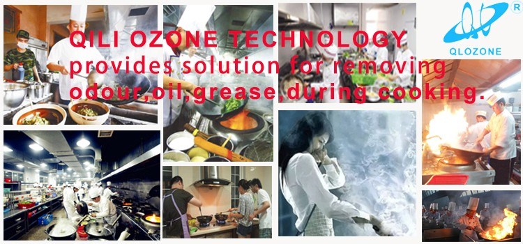 Commercial Kitchen Exhaust Cleaning Ozone Generator