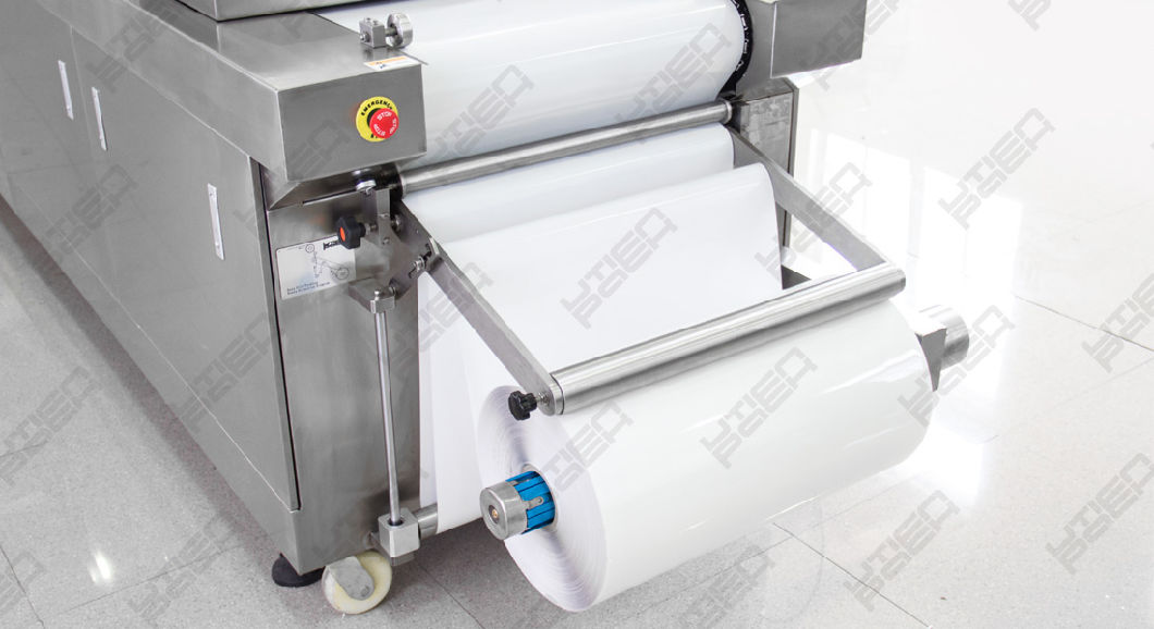 Automatic Food Vacuum Map Thermoforming Packing Machine (DZL)