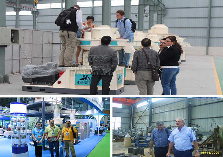 The Latest Technology Pine Maize Straw Briquette Machine