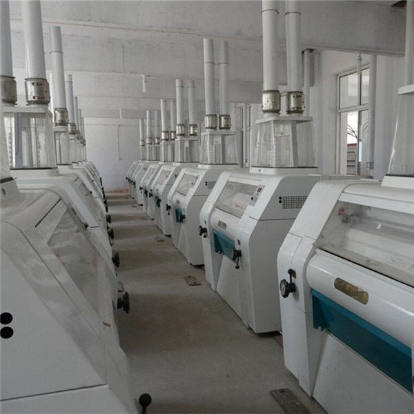 Maize Processing Plant for Sale