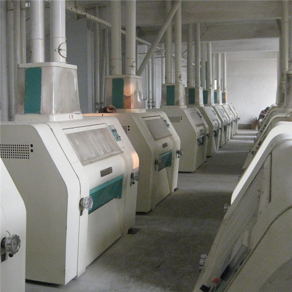 Maize Processing Plant for Sale