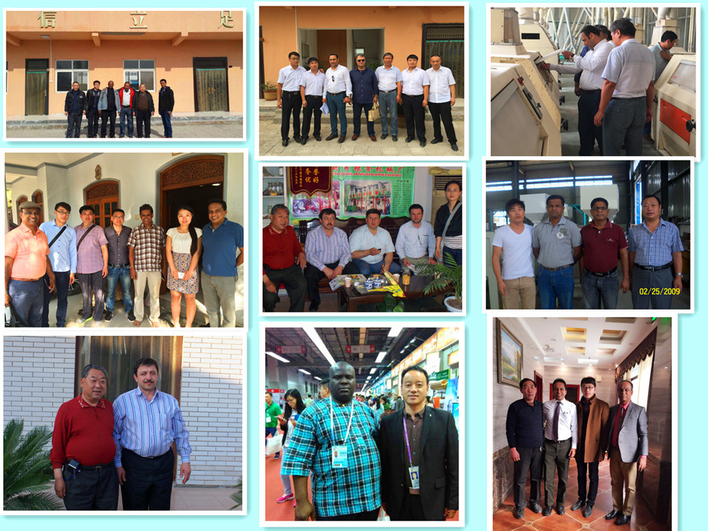 Automatic Mini Maize Processing Plant