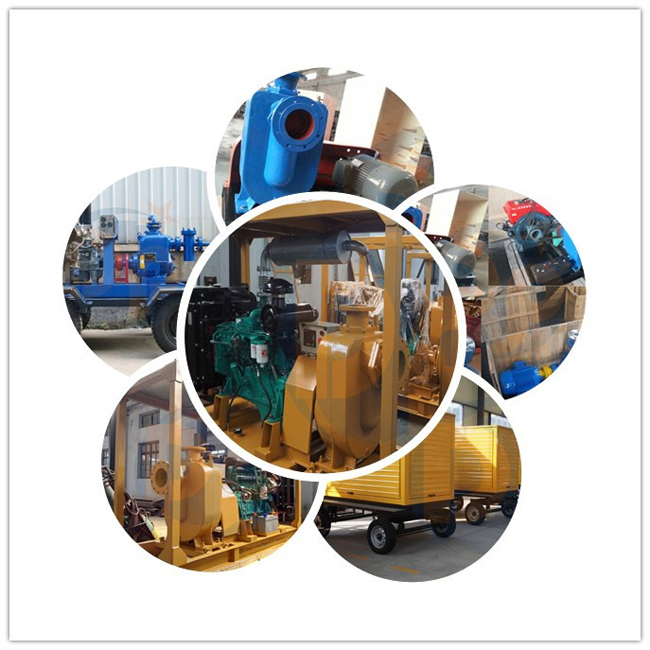 Diesel Engine Irrigation Pump Self Priming Pump