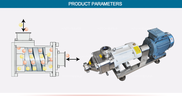 Sanitary Food Industry Inox Double Screw Delivery Pump
