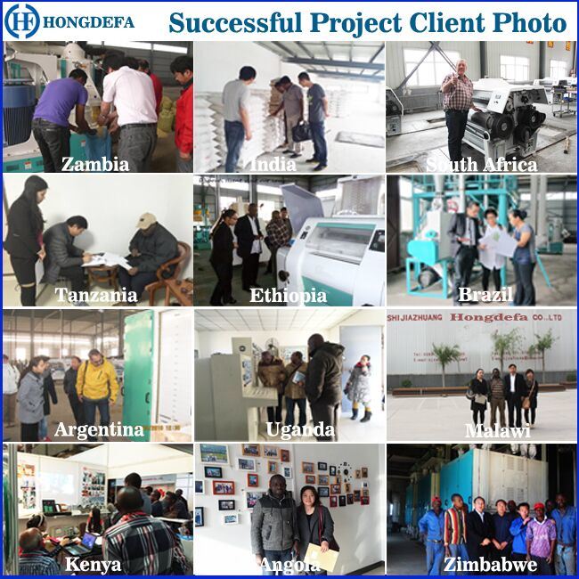 5-500t/24h Maize Mill Fully Automatic Maize Flour Mill Machine