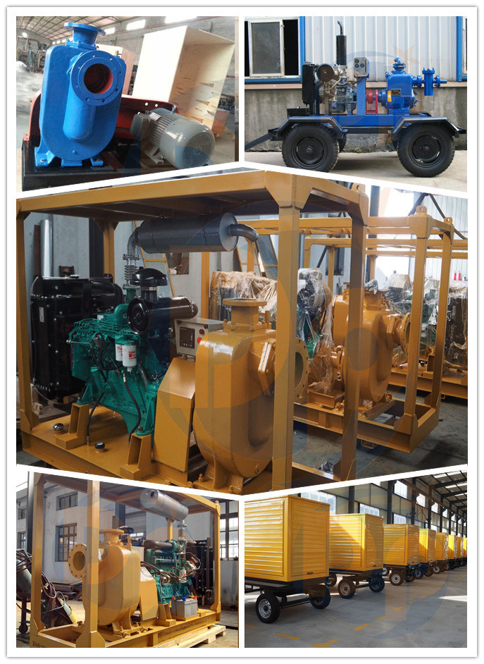Diesel Engine Irrigation Pump Self Priming Pump