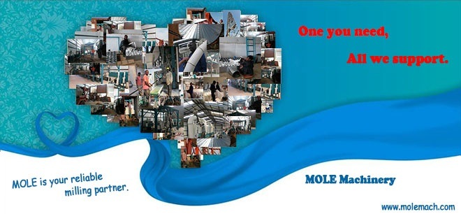 Processing Maize Corn Wheat Flour Mill Milling Machine with Complete Equipment