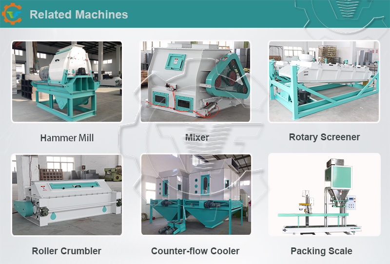 Feed Pellet Grading Sieve and Vibrating Sieve