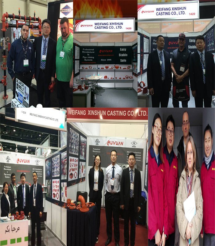 Shoulder Flexible Coupling with Ductile Iron ASTM a-536 Material