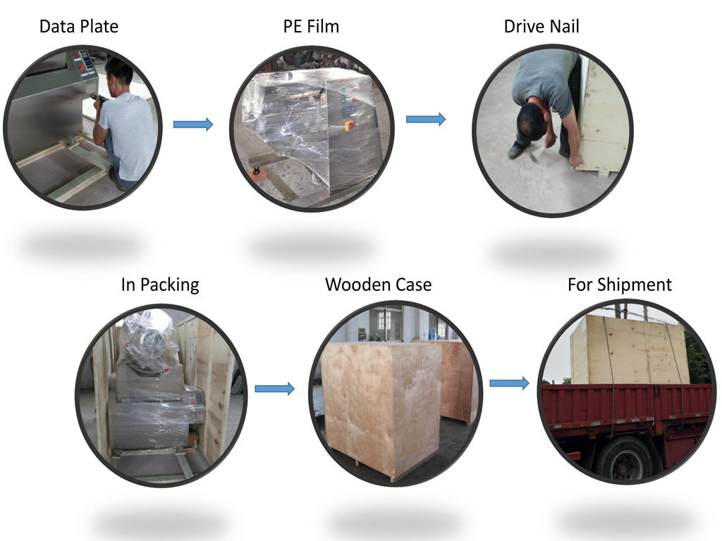 CH-400 Single Paddle Agitator for Fruit and Vegetable Powder