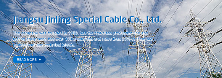 0.6/1kv N2xry Low Voltage XLPE Insulated Armoured Cables